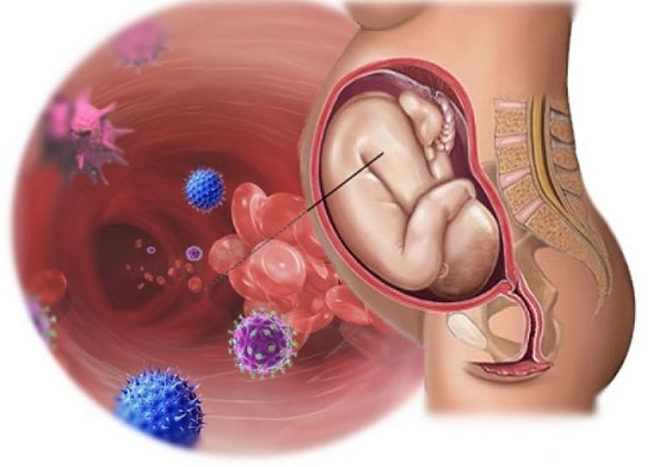 Беременность и гепатит С фото