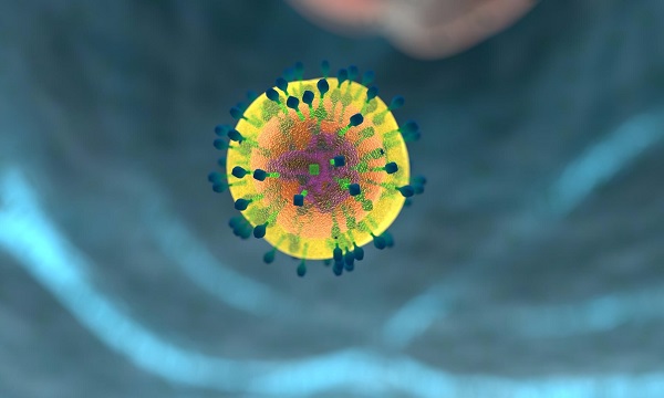 Что такое генотипы гепатита